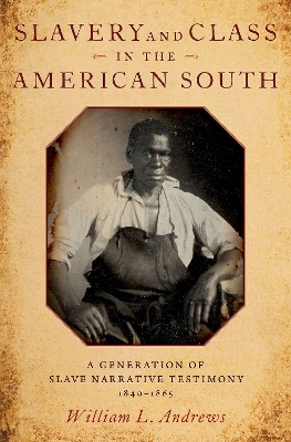 Book cover for Slavery and Class in the American South