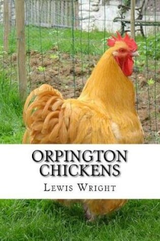 Cover of Orpington Chickens