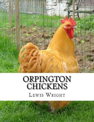 Book cover for Orpington Chickens