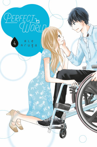 Cover of Perfect World 4
