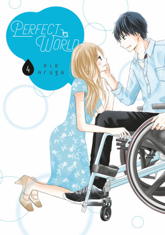 Book cover for Perfect World 4