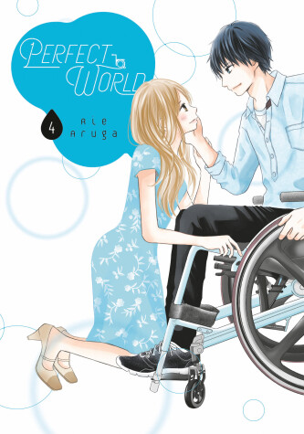 Cover of Perfect World 4