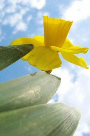 Cover of Yellow Daffodil and the Sky (for the Love of Flowers)