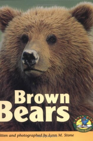 Cover of Brown Bears