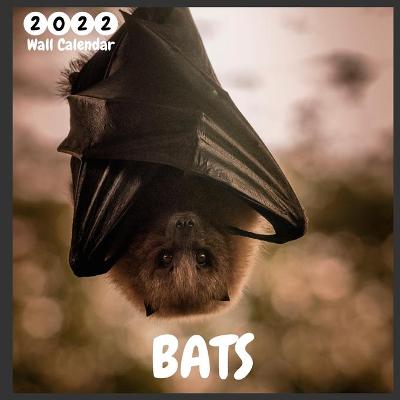 Book cover for Bats 2022 Wall Calendar