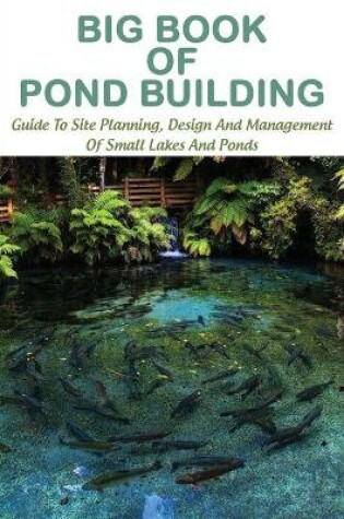 Cover of Big Book Of Pond Building
