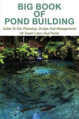 Book cover for Big Book Of Pond Building