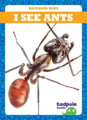 Cover of I See Ants