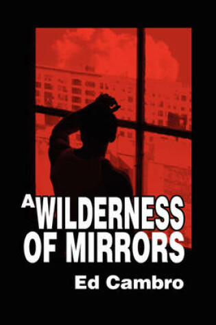 Cover of A Wilderness of Mirrors