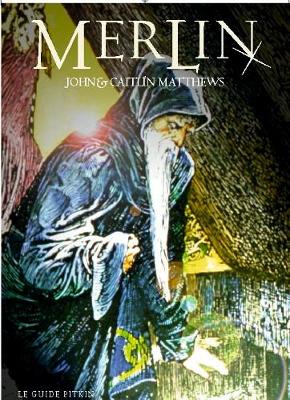 Book cover for Merlin - French