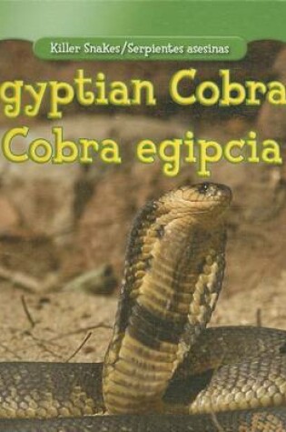 Cover of Egyptian Cobra/Cobra Egipcia