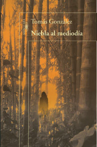 Cover of Niebla Al Mediodía