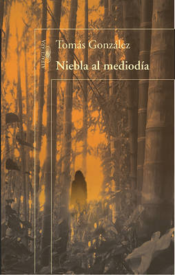 Book cover for Niebla Al Mediodía