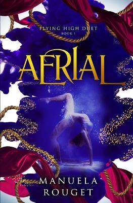 Book cover for Aerial