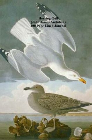 Cover of Herring Gull (John James Audubon) 100 Page Lined Journal