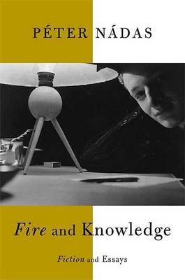 Book cover for Fire and Knowledge