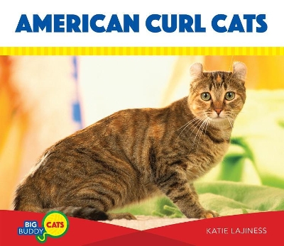 Cover of American Curl Cats