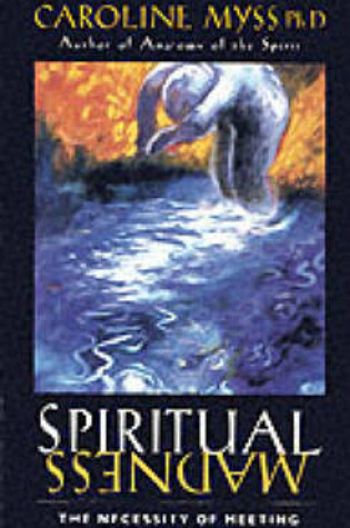 Cover of Spiritual Madness