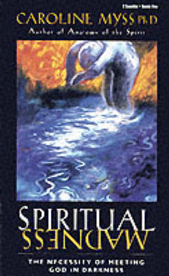 Book cover for Spiritual Madness