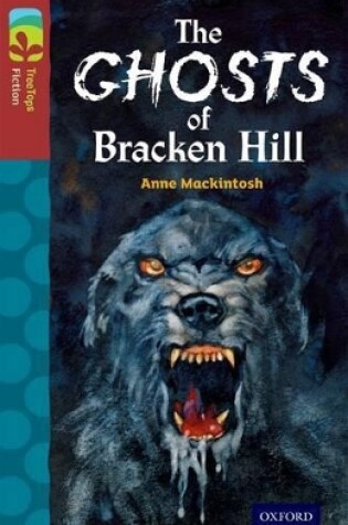Cover of Oxford Reading Tree TreeTops Fiction: Level 15: The Ghosts of Bracken Hill