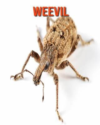 Book cover for Weevil