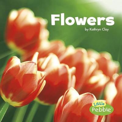 Book cover for Flowers