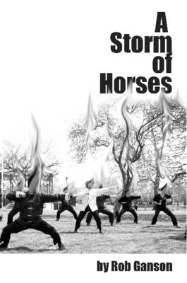Book cover for A Storm of Horses