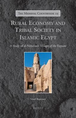 Book cover for Rural Economy and Tribal Society in Islamic Egypt