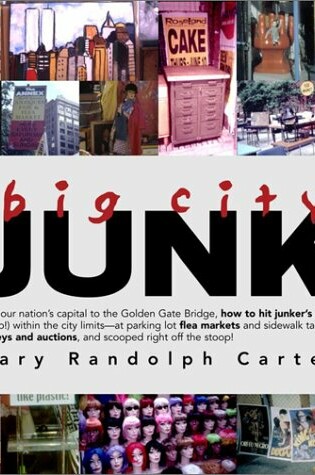 Cover of Big City Junk