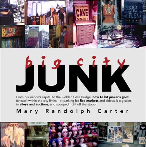 Book cover for Big City Junk