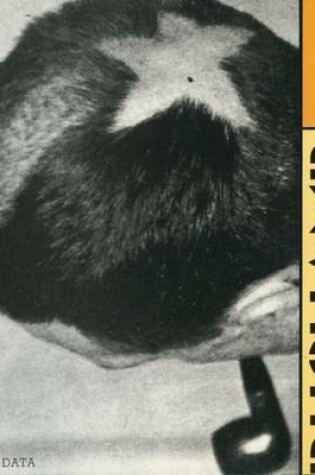 Cover of Duchamp