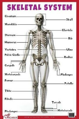 Cover of Skeletal System