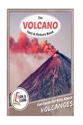 Book cover for The Volcano Fact & Picture Book