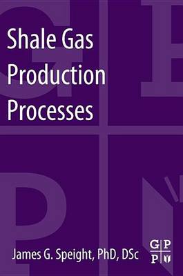 Book cover for Shale Gas Production Processes