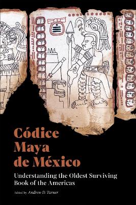 Cover of Codice Maya de Mexico