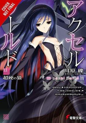 Book cover for Accel World, Vol. 11 (light novel)