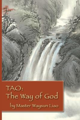 Book cover for Tao the Way of God