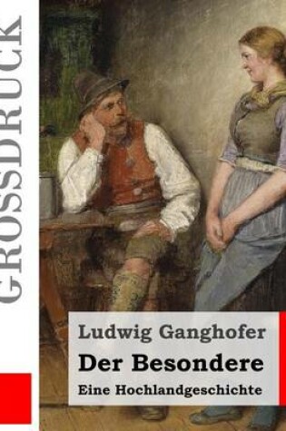 Cover of Der Besondere (Grossdruck)