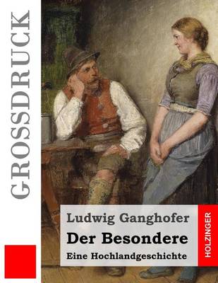 Book cover for Der Besondere (Grossdruck)