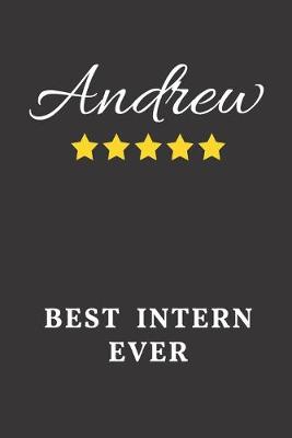 Book cover for Andrew Best Intern Ever