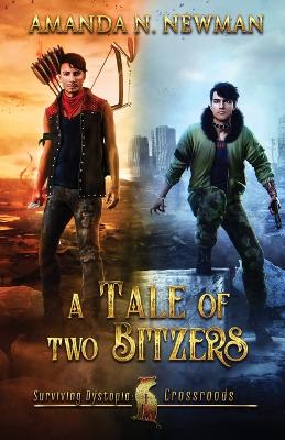Book cover for A Tale of Two Bitzers
