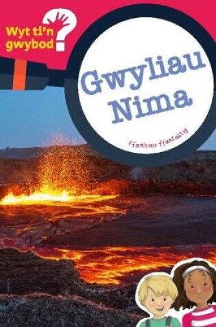 Cover of Cyfres Wyt Ti'n Gwybod?: Gwyliau Nima