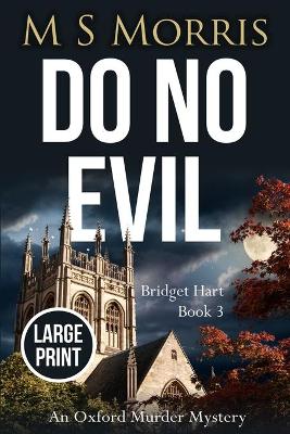 Cover of Do No Evil (Large Print)