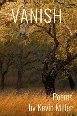 Book cover for Vanish