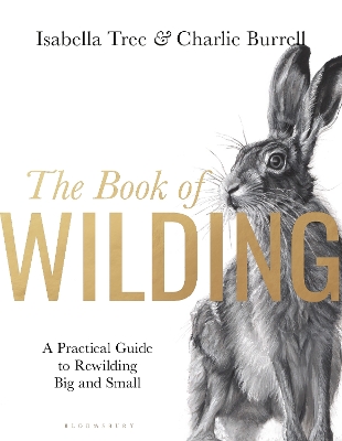 Book cover for The Book of Wilding