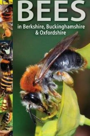 Cover of A Guide to Finding Bees in Berkshire, Buckinghamshire and Oxfordshire