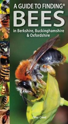 Book cover for A Guide to Finding Bees in Berkshire, Buckinghamshire and Oxfordshire