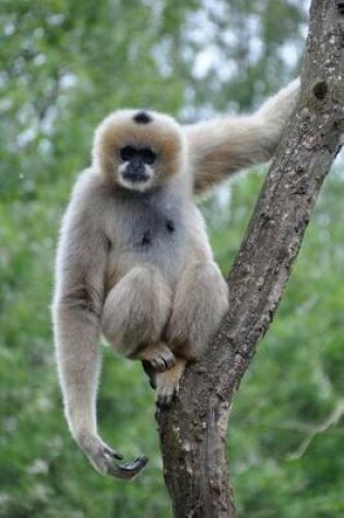 Cover of A Gibbon on a Tree Monkey Journal