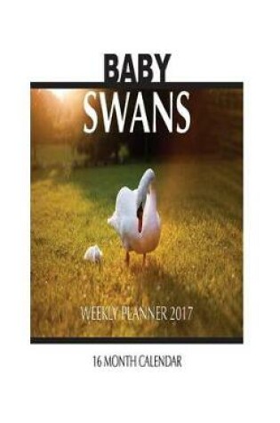 Cover of Baby Swans Weekly Planner 2017