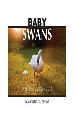 Book cover for Baby Swans Weekly Planner 2017